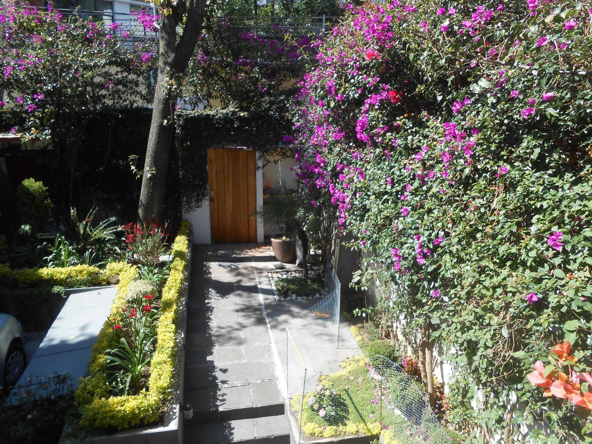 Appartamento Terraza & Loft San Angel Città del Messico Esterno foto