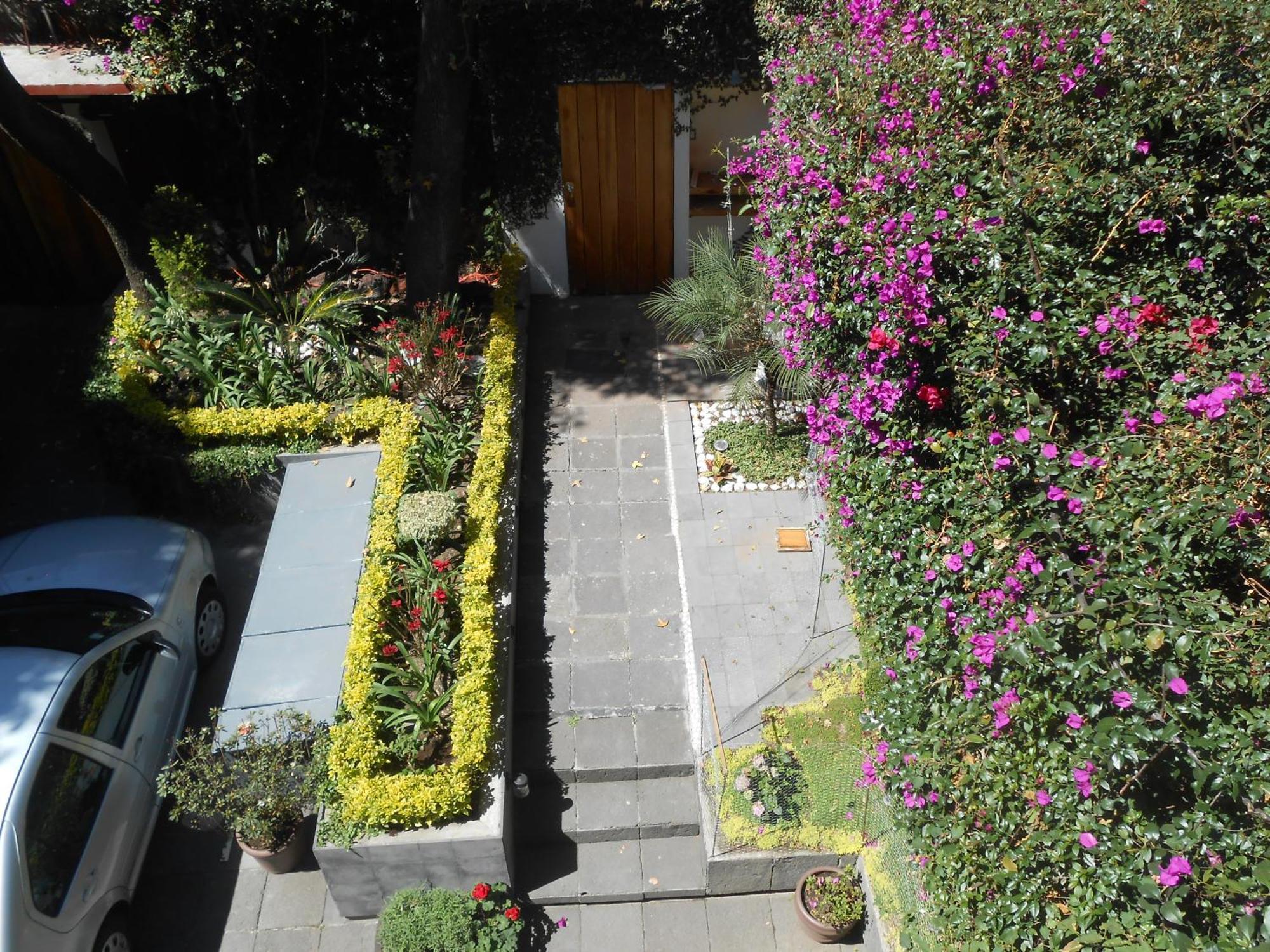 Appartamento Terraza & Loft San Angel Città del Messico Esterno foto
