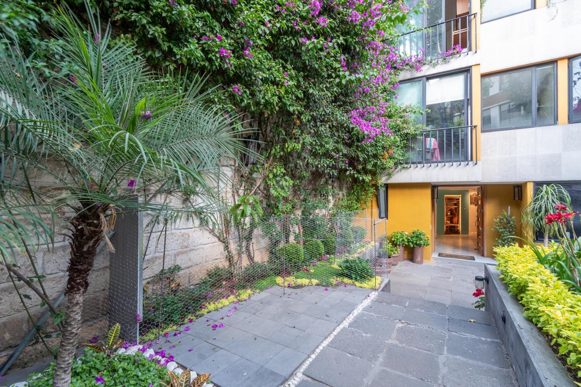 Appartamento Terraza & Loft San Angel Città del Messico Esterno foto