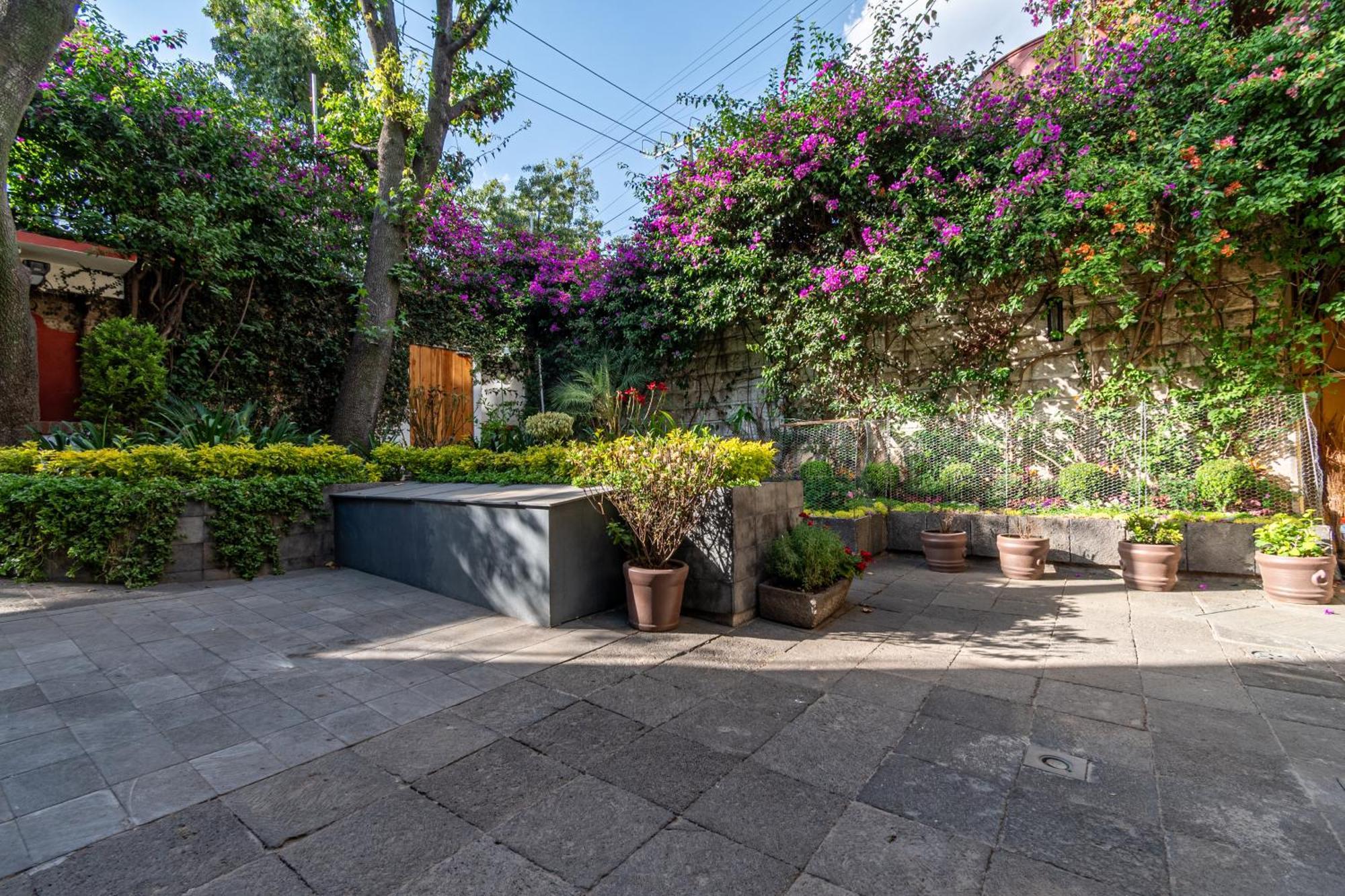 Appartamento Terraza & Loft San Angel Città del Messico Esterno foto