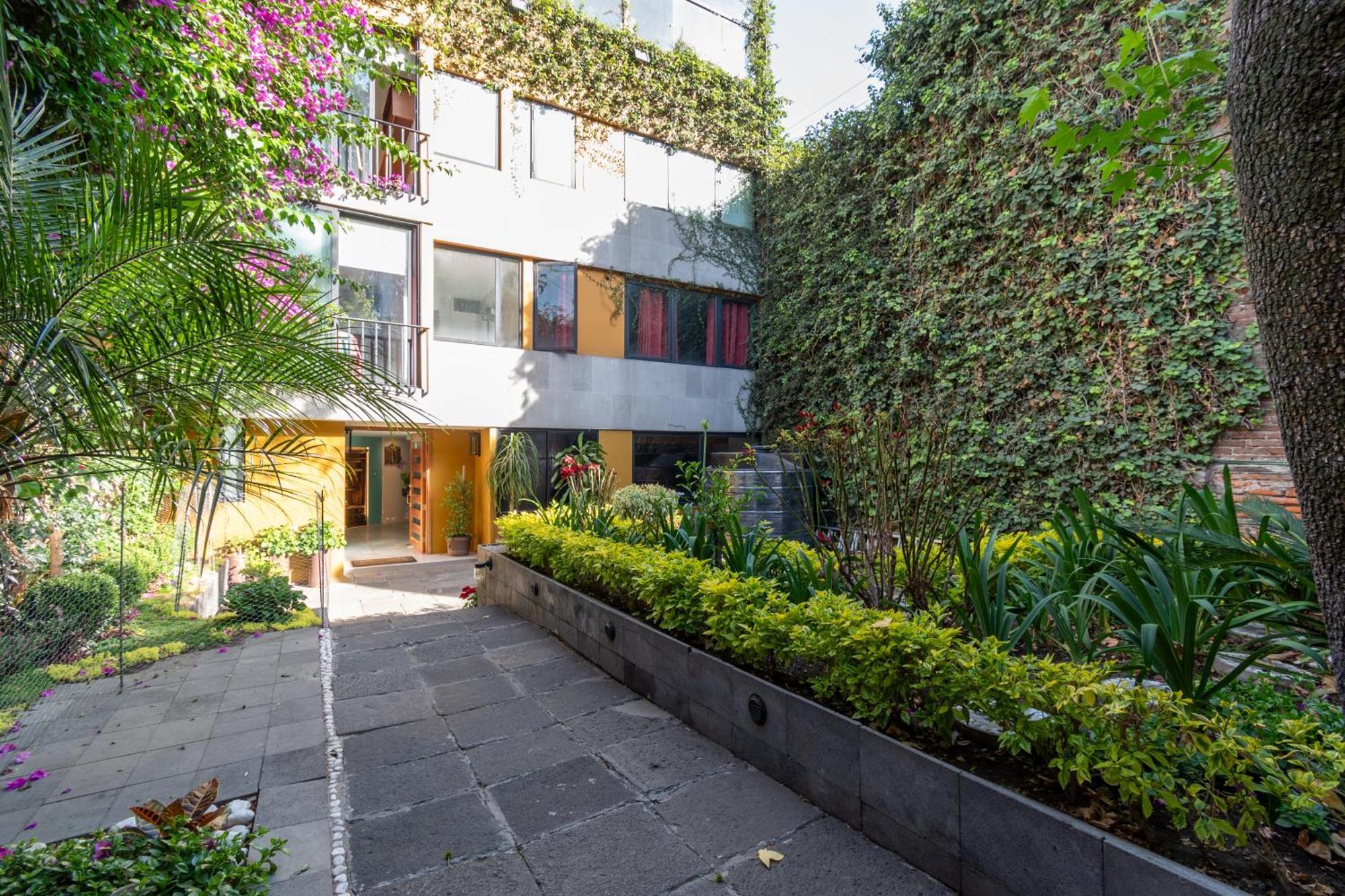 Appartamento Terraza & Loft San Angel Città del Messico Esterno foto