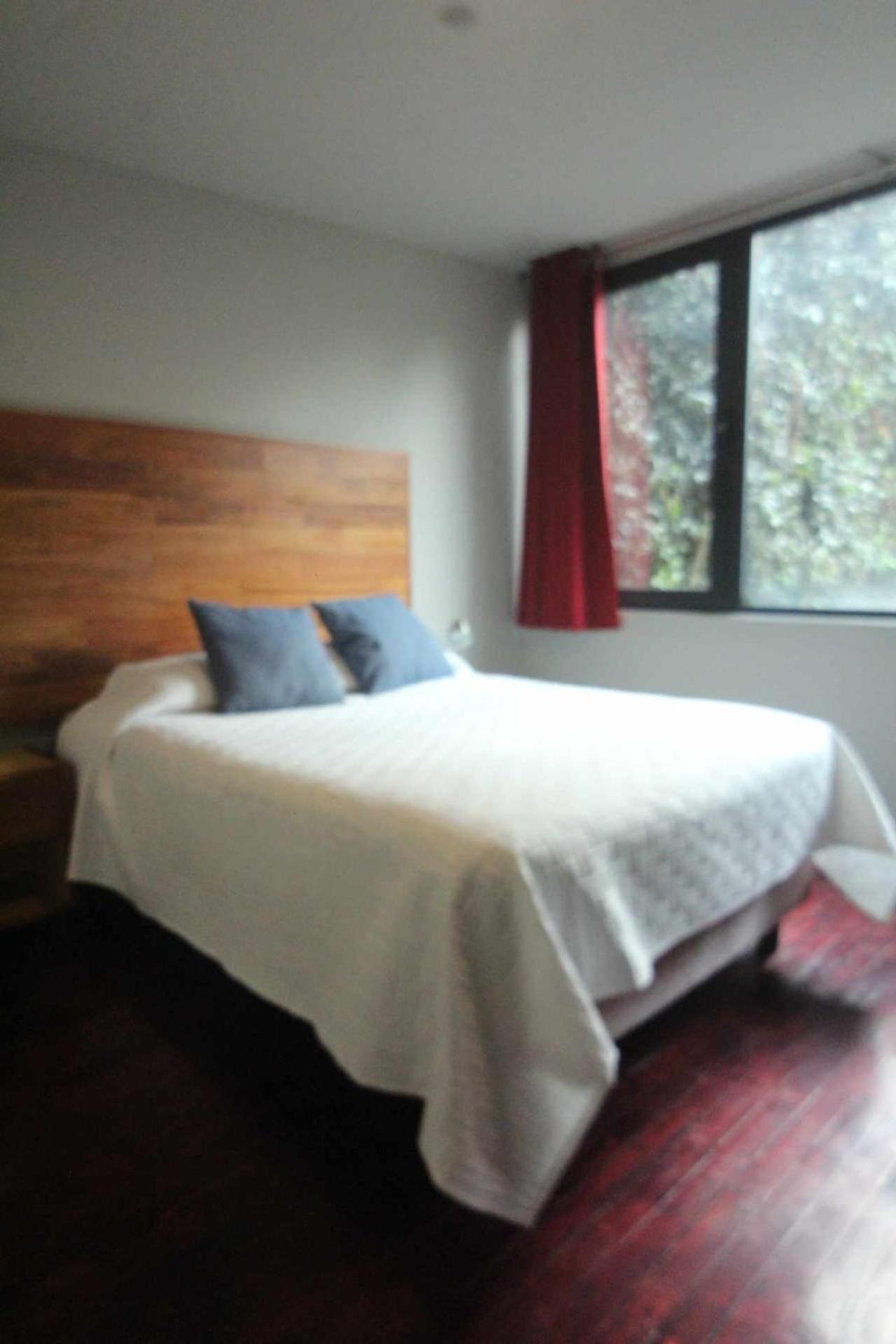 Appartamento Terraza & Loft San Angel Città del Messico Esterno foto